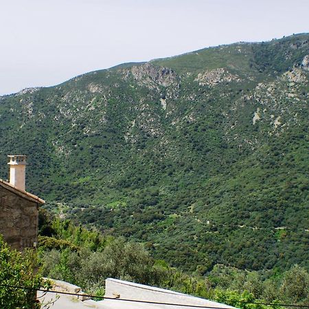 Studio Le Petit Nid D'Amour Meuble Tourisme 3 Etoiles Poggio Santa-Lucia-di-Tallano Eksteriør bilde