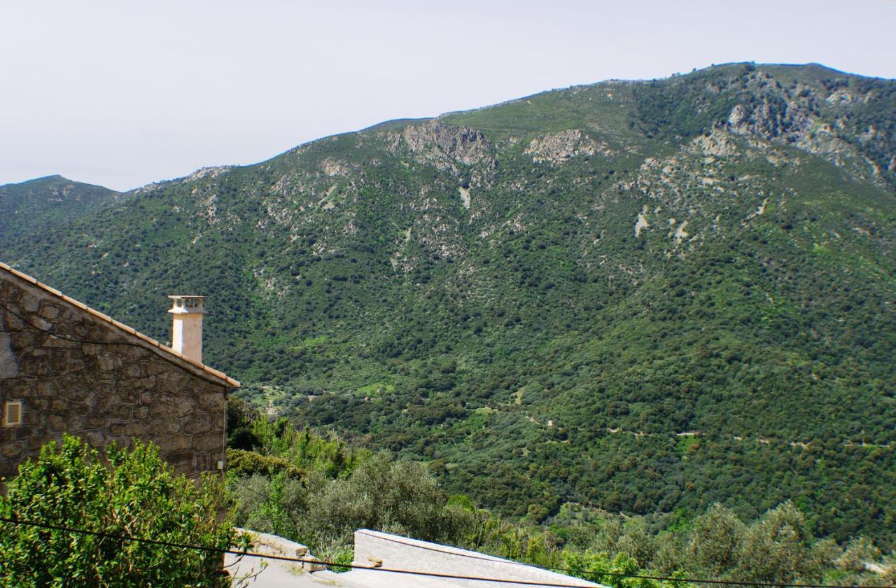 Studio Le Petit Nid D'Amour Meuble Tourisme 3 Etoiles Poggio Santa-Lucia-di-Tallano Eksteriør bilde