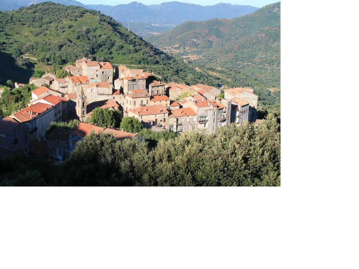 Studio Le Petit Nid D'Amour Meuble Tourisme 3 Etoiles Poggio Santa-Lucia-di-Tallano Eksteriør bilde